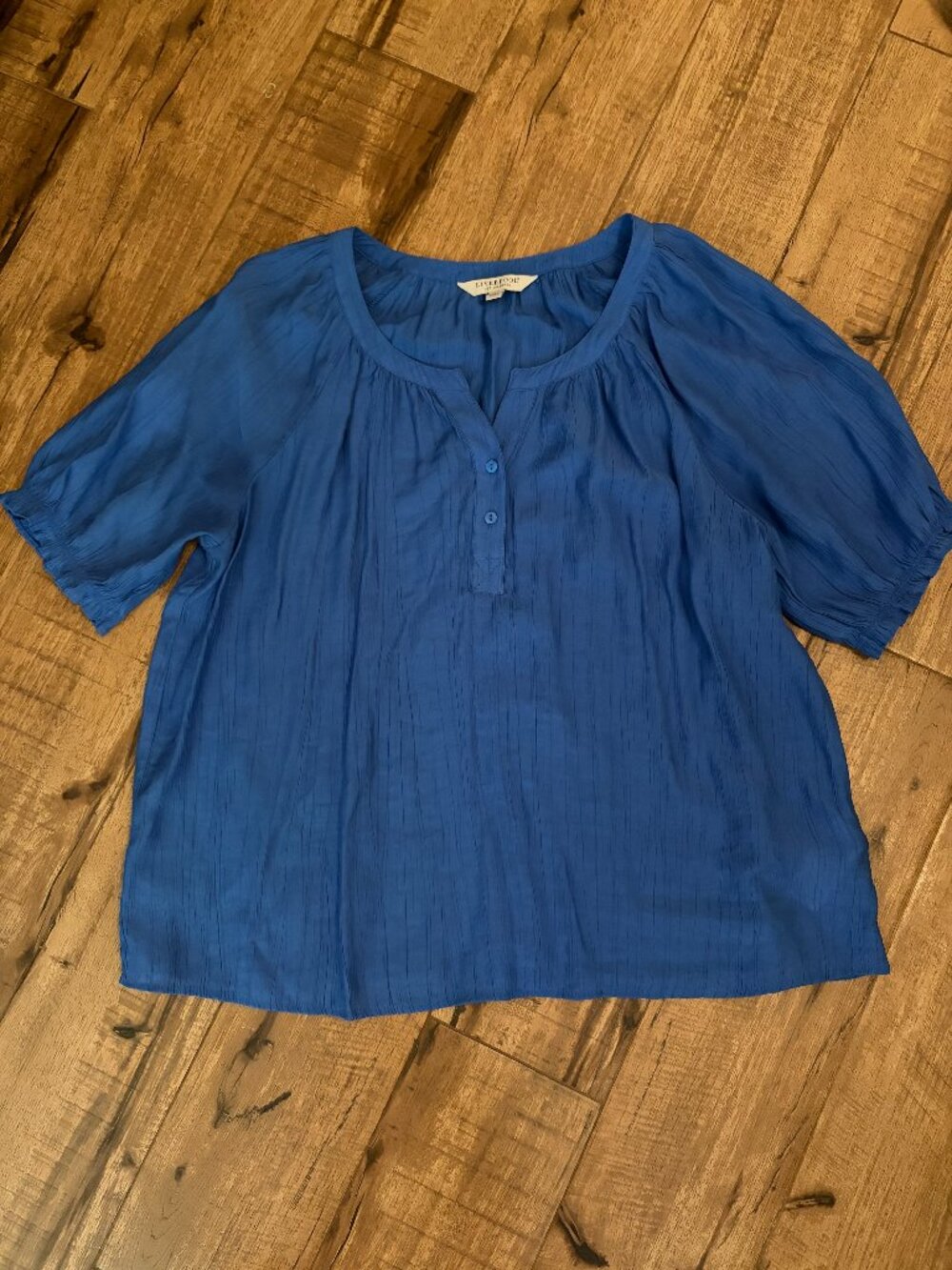 Blue Blouse